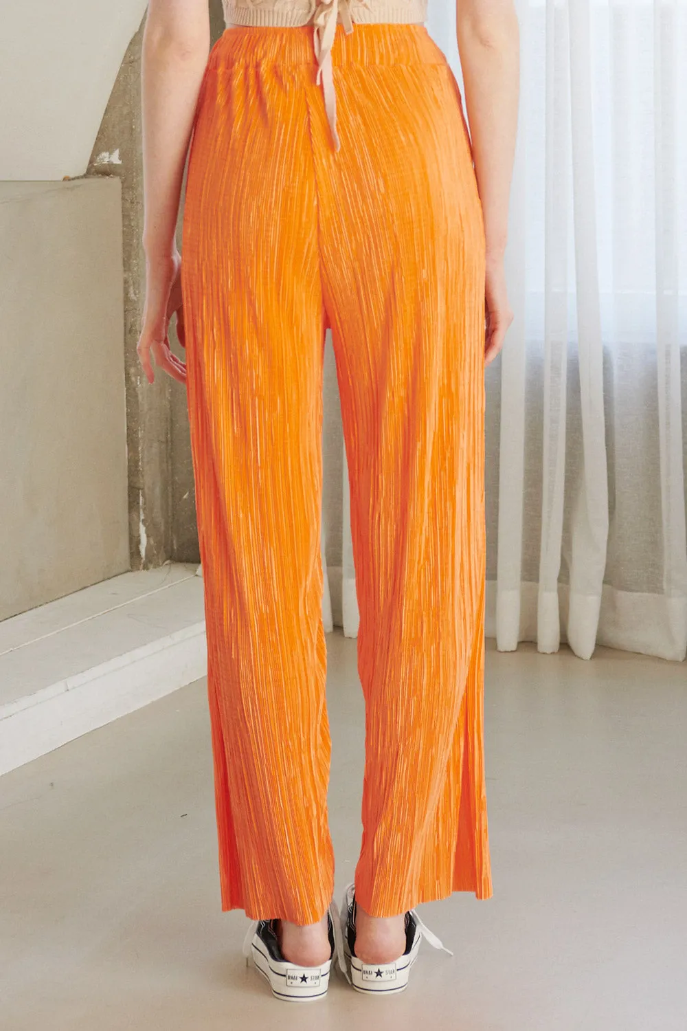Peyton Crinkled Pleated Pants